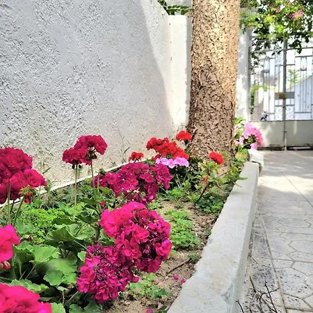Apartment Modern House With Courtyard Nearby The Old Town Rhodes City